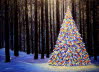 Forest's Christmas Luminescence